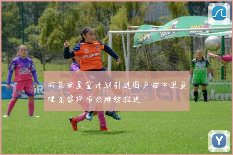 布莱顿夏窗计划引进图卢兹中卫查理克雷斯韦尔继续推进